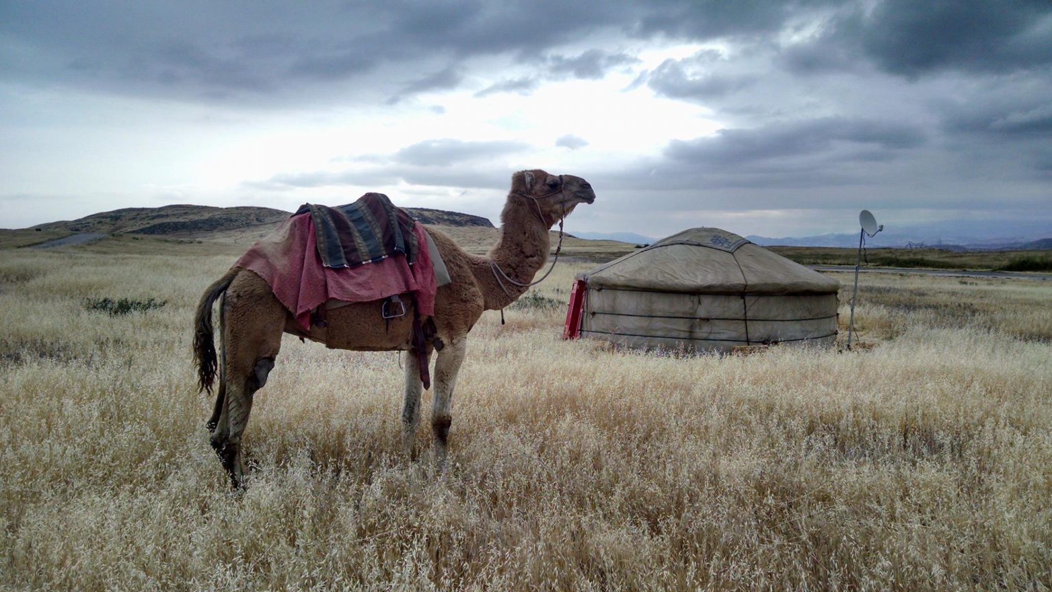 Exotic Animal Rental - Benay's Bird & Animal Rentals - CA