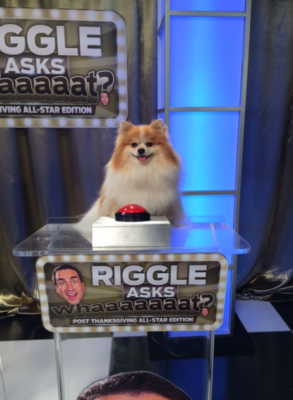 bitsie rob riggle e1596499098265