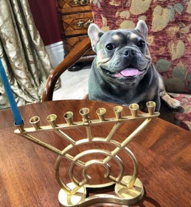 louie menorah e1596566018233