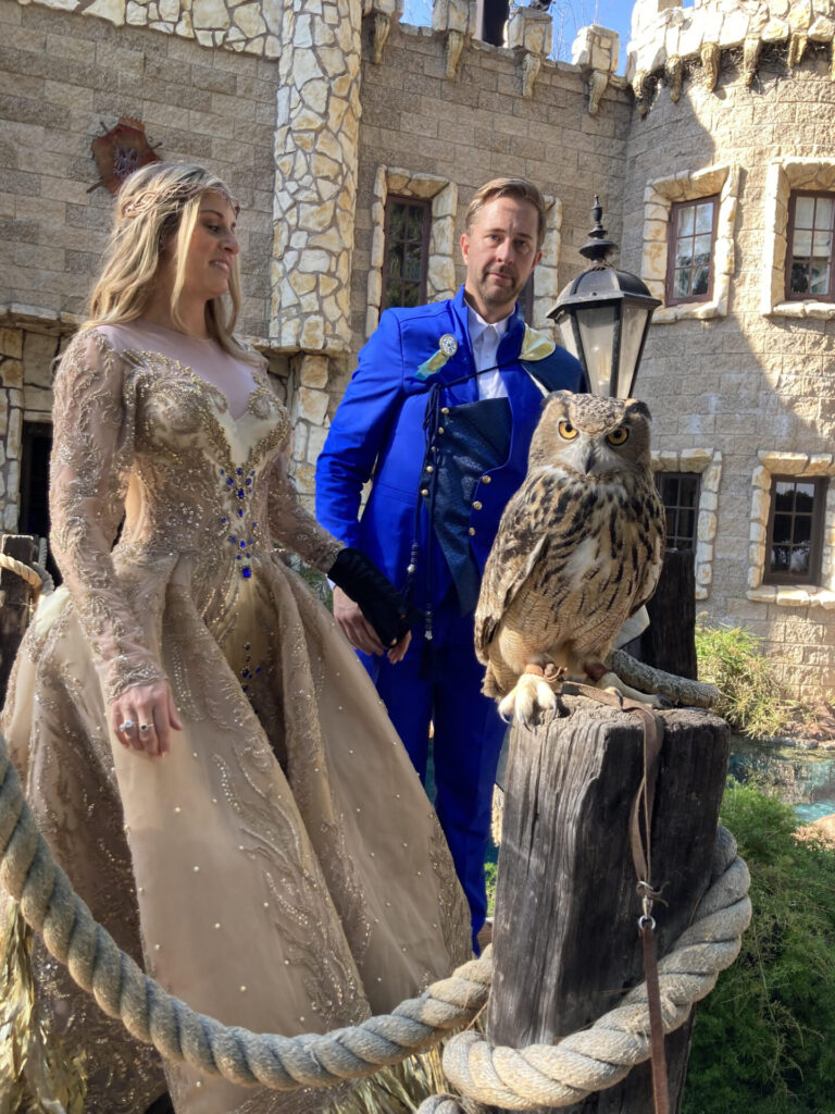 Rent a majestic owl for your medieval event. Add a touch of magic to your special day with our beautiful owl rentals.