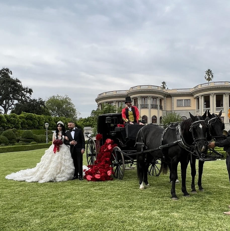 Elegant horse and carriage rental for weddings and special events. Create a memorable experience with our beautiful carriage and well-trained horses.