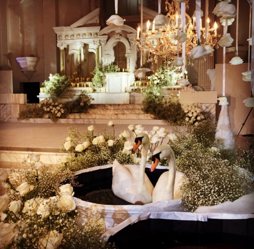 Rent White Swans for weddings and events